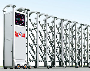 ���P���s�T�y����̖